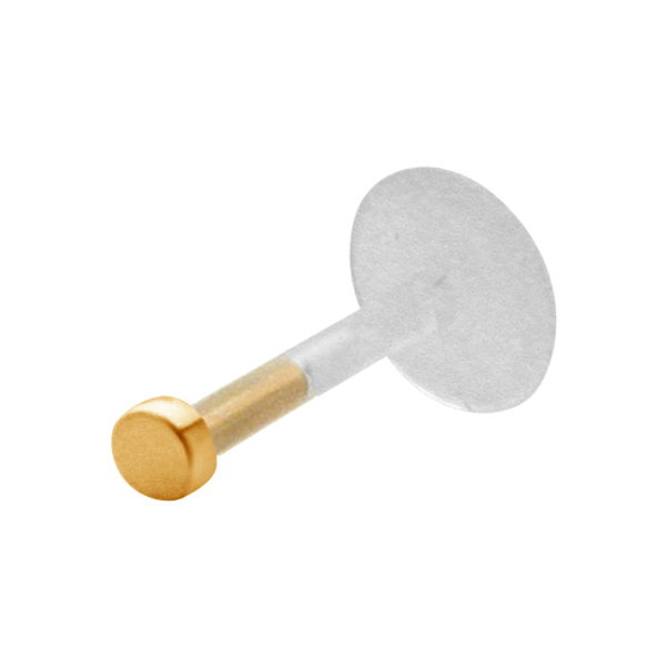 עגיל טראגוס / מונרו / לברט - דיסק 2 מ"מ ציפוי זהב