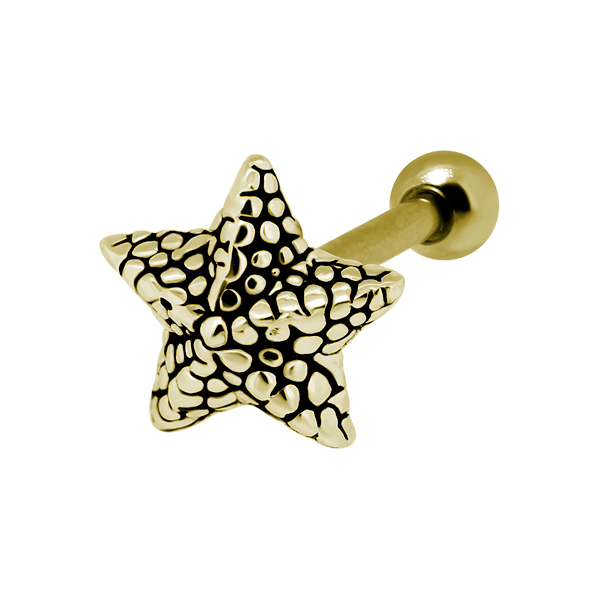 עגיל פירסינג הליקס - ציפוי זהב כוכב ים