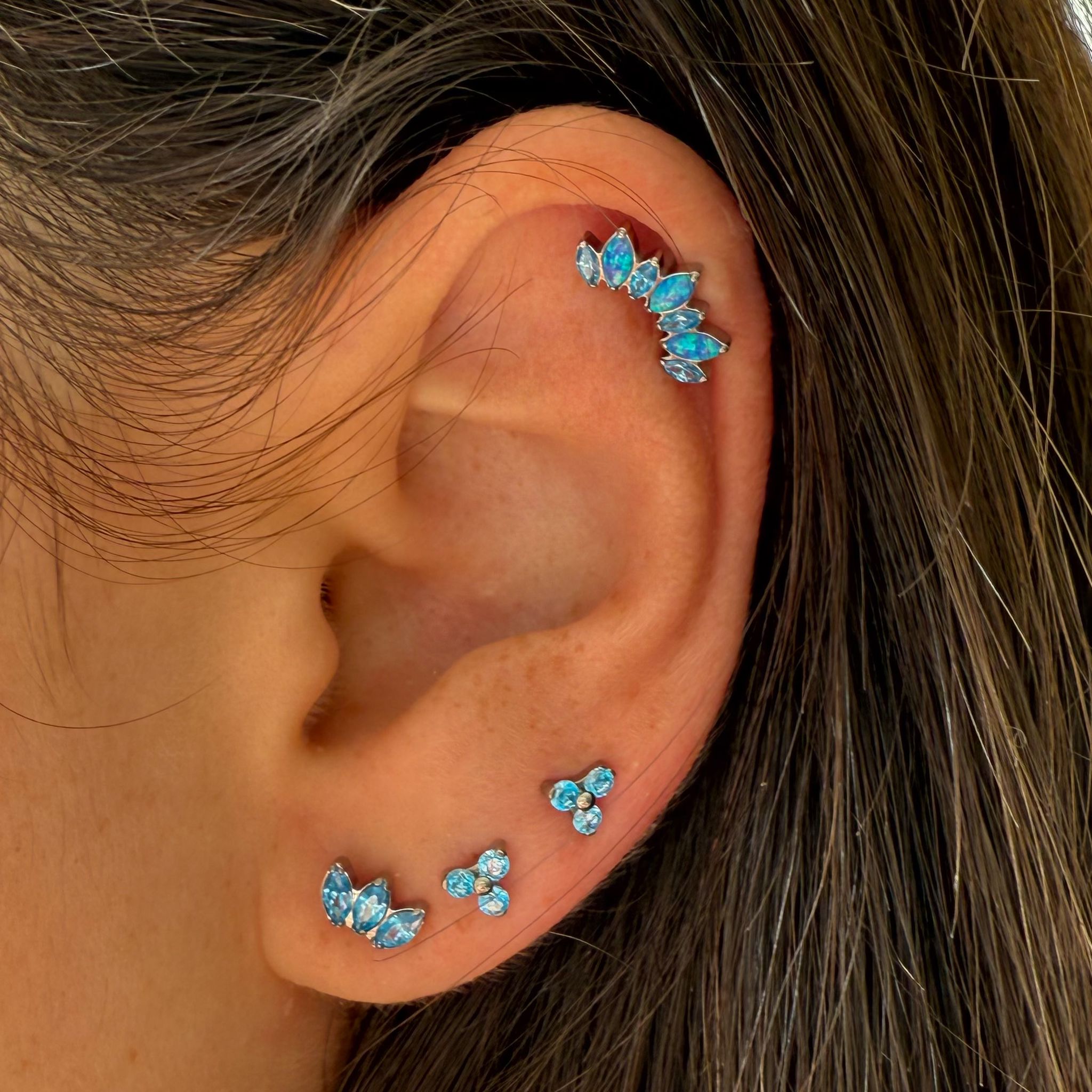 WhatsApp Image 2024-12-05 at 13.50.55