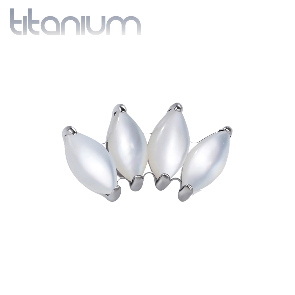 עגיל הליקס / קונץ' / פלאט מטיטניום - מניפה של צדף לבן